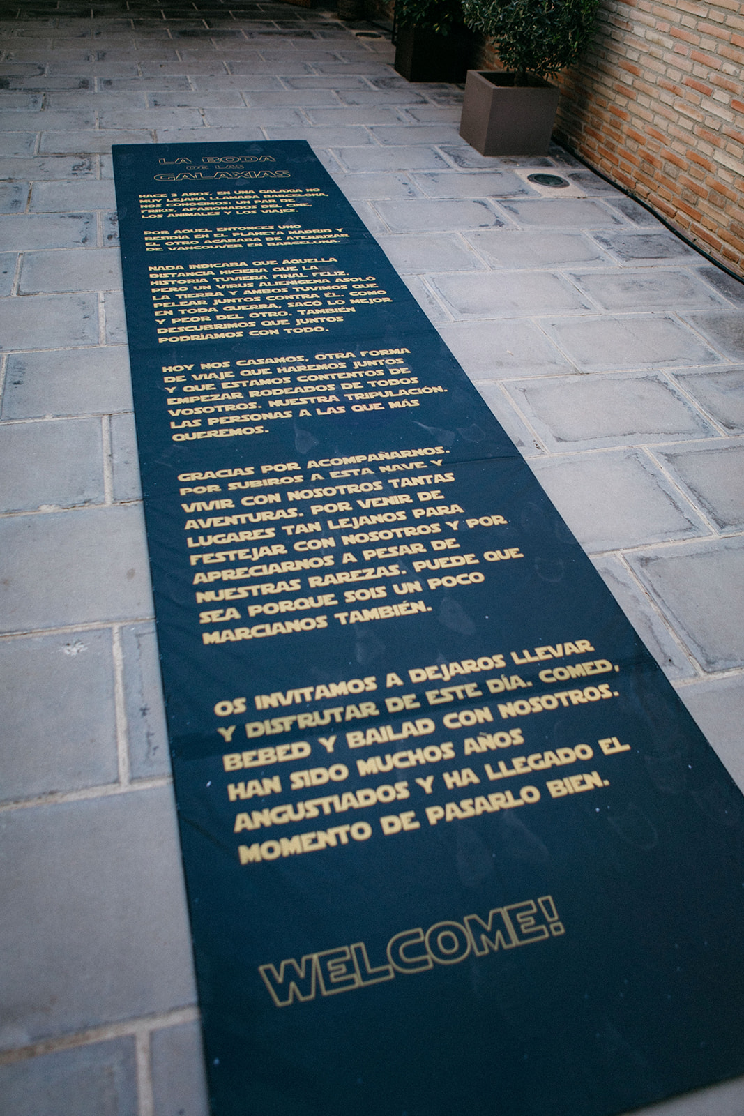 Alfombra boda star wars