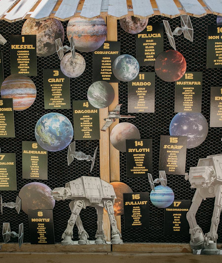 The Galactic Wedding: How We Crafted an Elegant Themed Wedding for Geeks